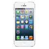 Apple iPhone 5 16Gb white - Курчатов