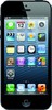 Apple iPhone 5 16GB - Курчатов