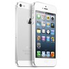 Apple iPhone 5 64Gb white - Курчатов